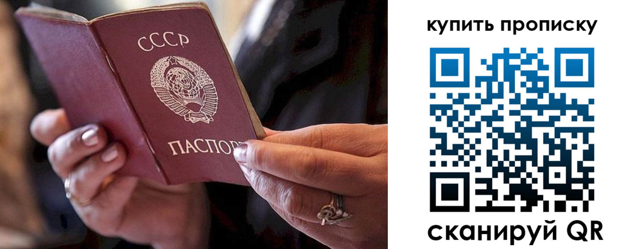 прописка в квартире в Гвардейске